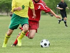 官方确认,德约科维奇,将参赛印第,九游娱乐,九游娱乐入口,九游娱乐平台,九游娱乐官方