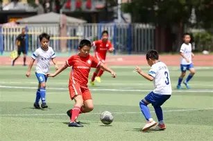 阿森纳力求,引进吉马良,斯与苏比门,九游娱乐,九游娱乐入口,九游娱乐平台,九游娱乐官方